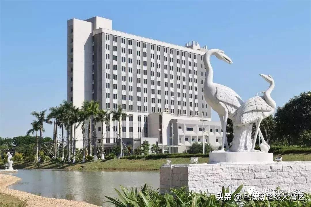 粤港澳大湾区大学生机遇与挑战,粤港澳大湾区热门专业