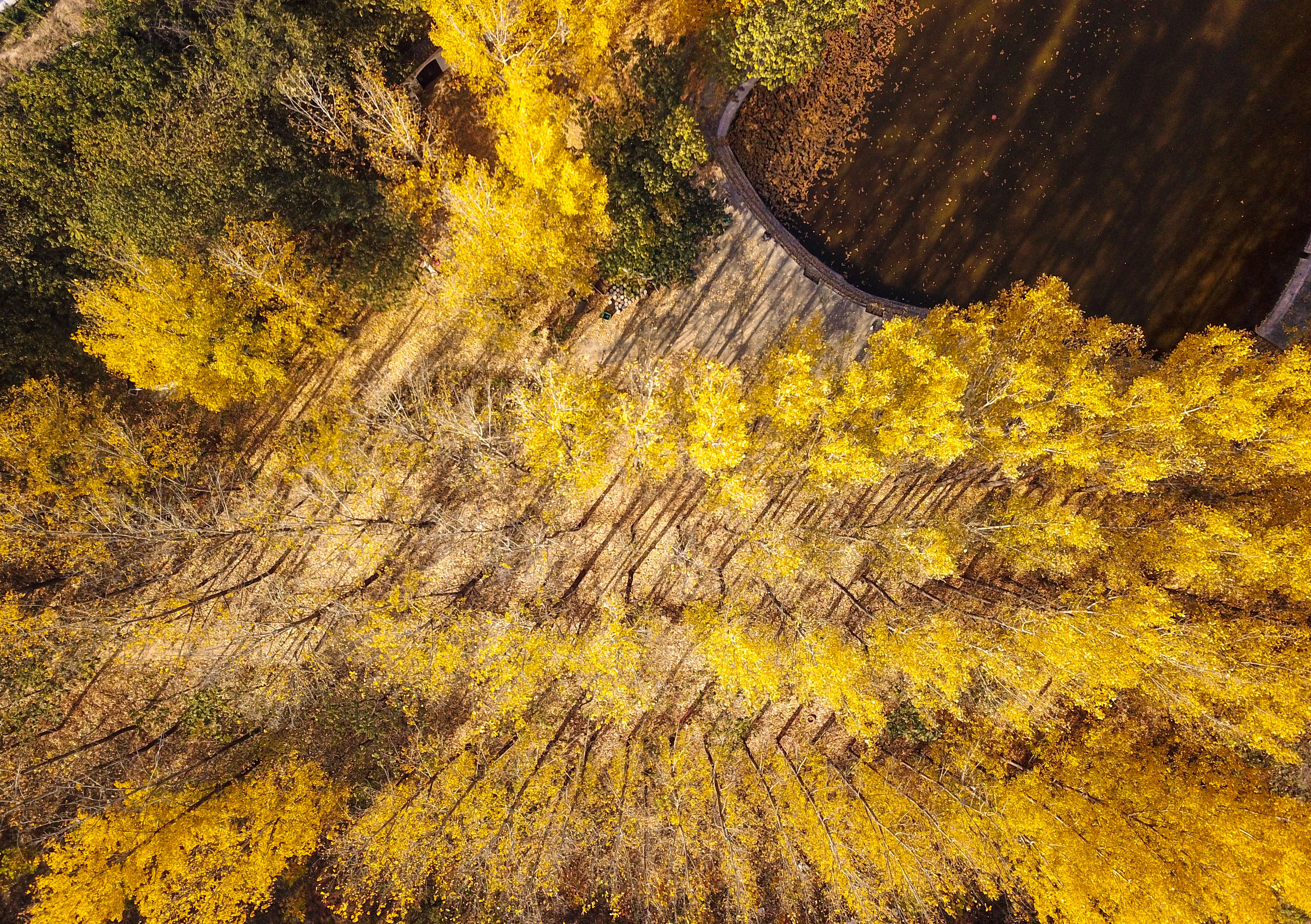 国庆假期如约至樱桃沟景区你到底盘不盘？