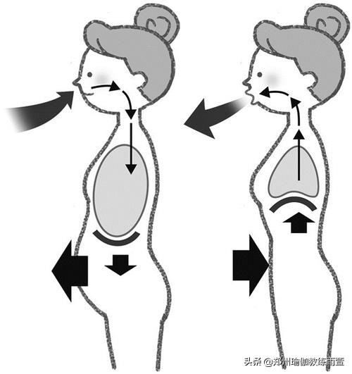 有肋骨外翻，锁骨窝凹陷，腰部疼痛的症状吗？你需要重新认识呼吸