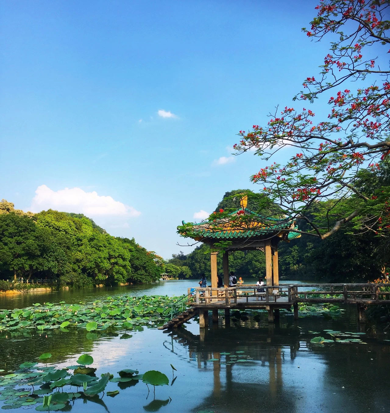 七星坠落玉湖来,乱点湖光水上栽，带你云游人间仙境七星岩。