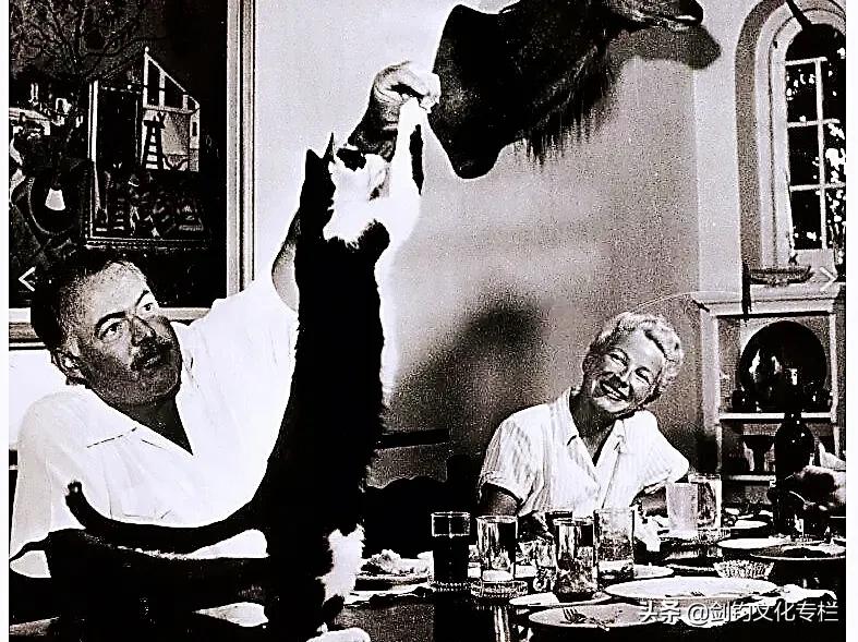 周末散文五人行｜剑钧｜天边的海明威猫