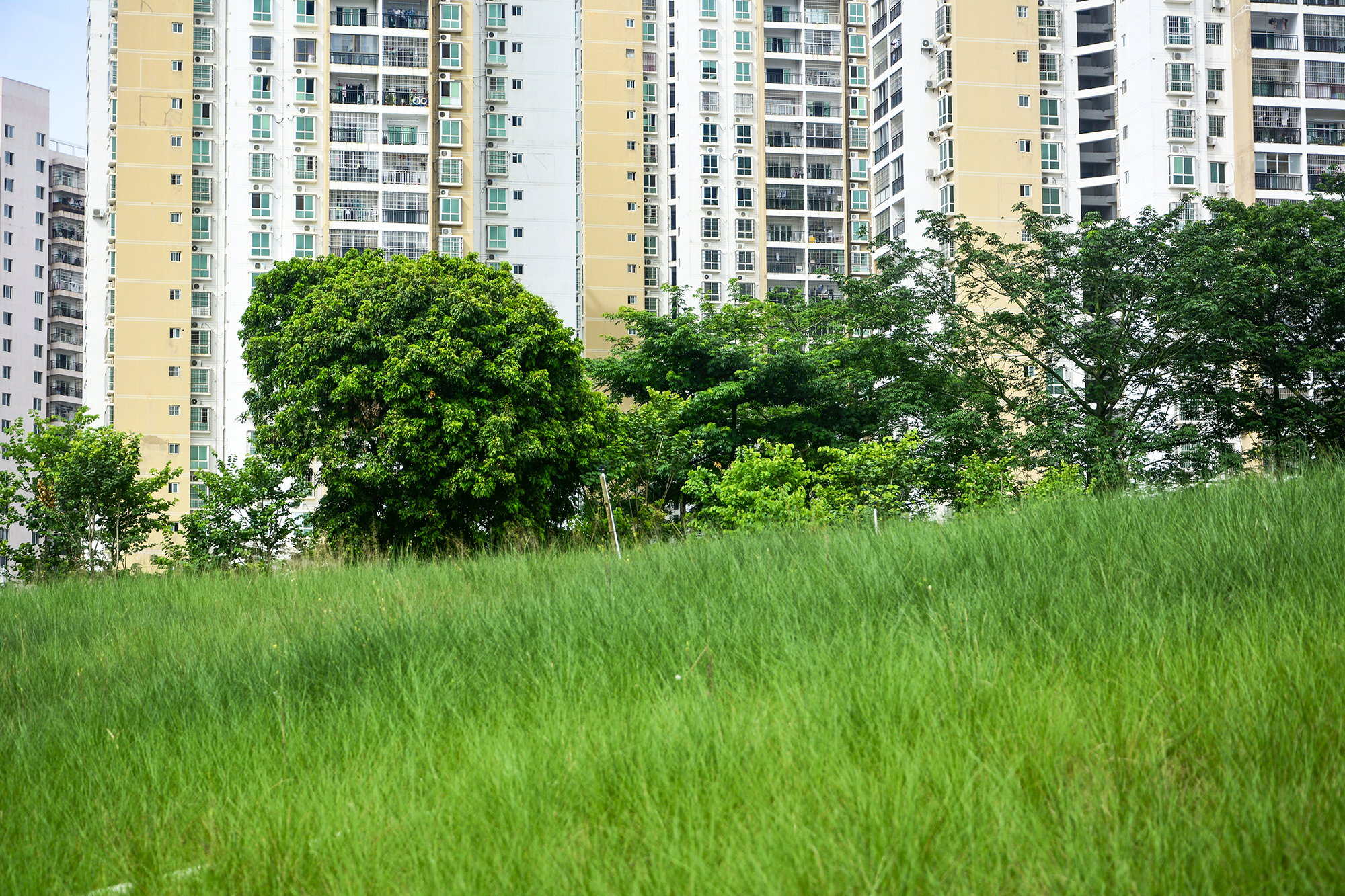 北海新的风景区,北海新建的公园