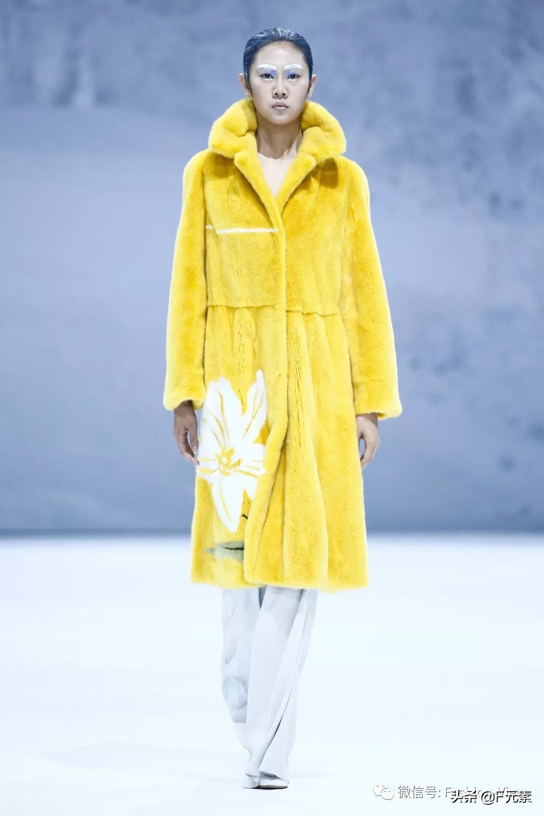 2020东北虎服饰秀图片,netiger华服