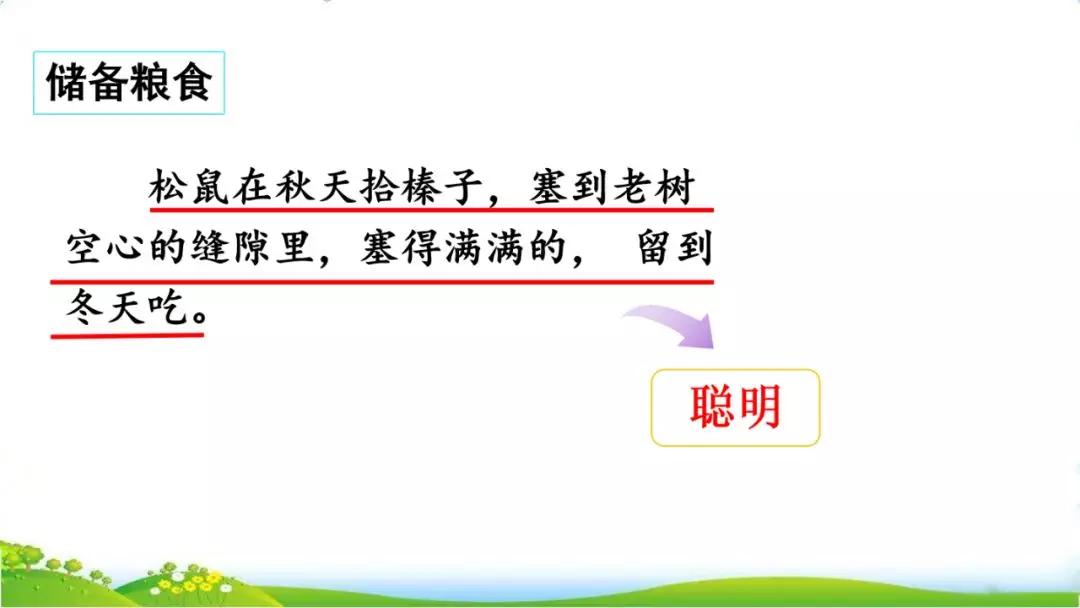 五年级语文第17课松鼠讲解,五年级上册第17课松鼠教材详解
