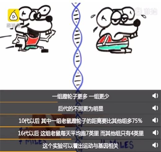 懒是家族遗传？3招告诉你如何改变孩子基因中的懒惰