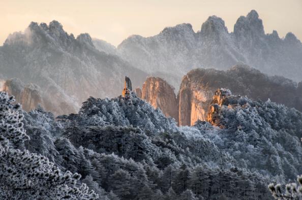 峰花雪月个人抖音,风花雪月
