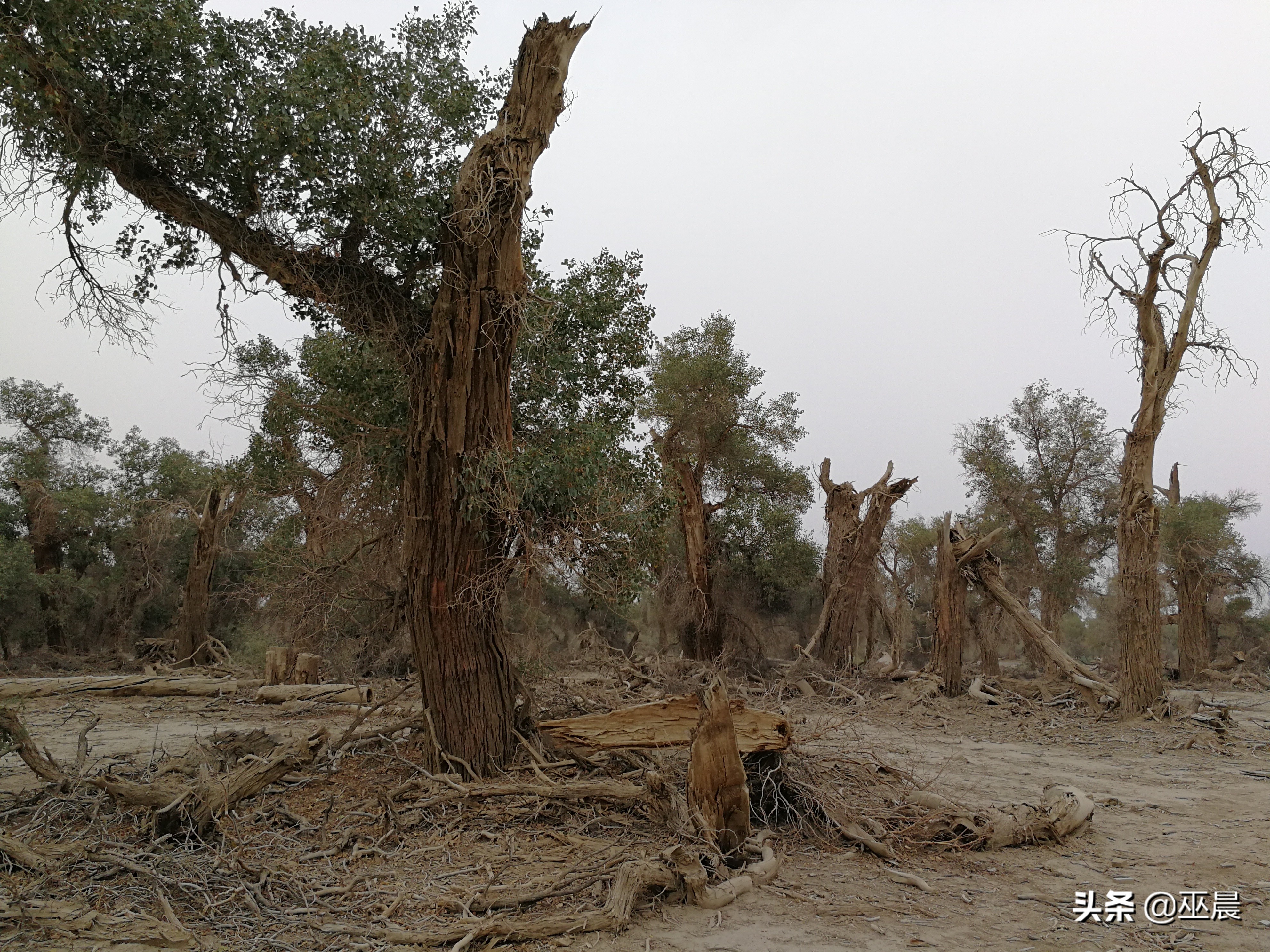 环疆之旅南疆,南疆北疆环游