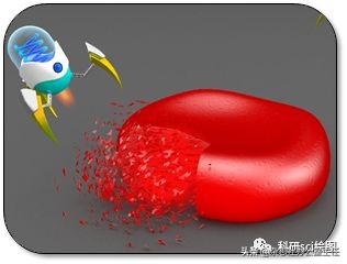 科研绘图流程模板,科研绘图教程