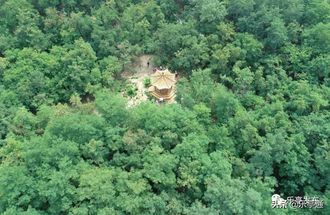 乐亭最美的地方,乐亭县古镇