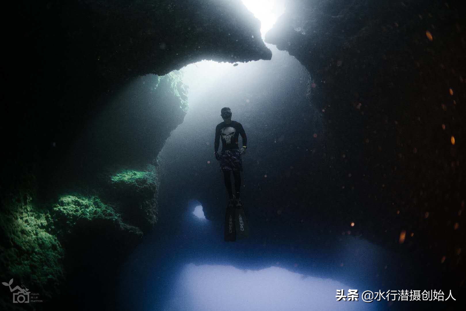 帕劳岛自由行潜水,帕劳水母湖自由潜视频