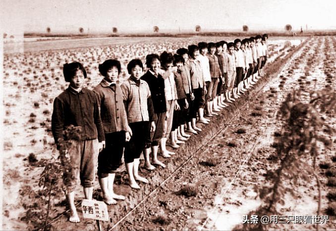 知青难忘的岁月,知青难忘的回忆故事