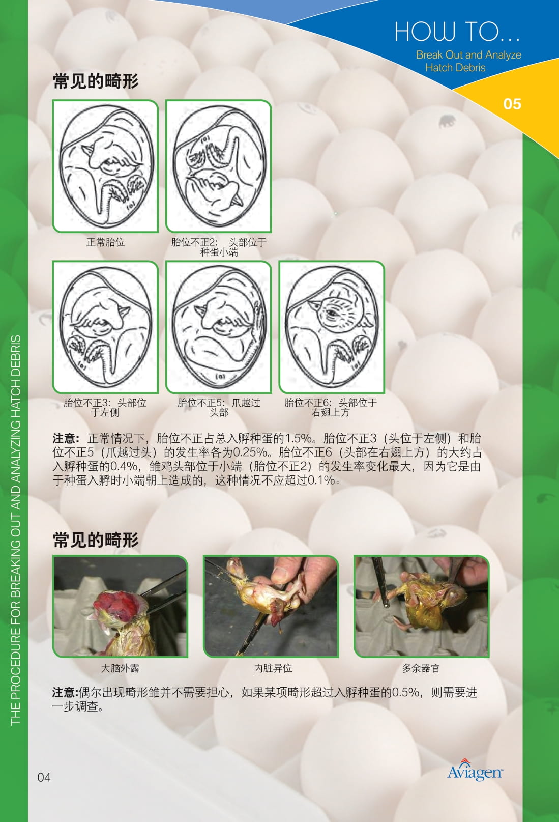 毛蛋做实蛋方法,打蛋怎么做又滑又嫩没气泡