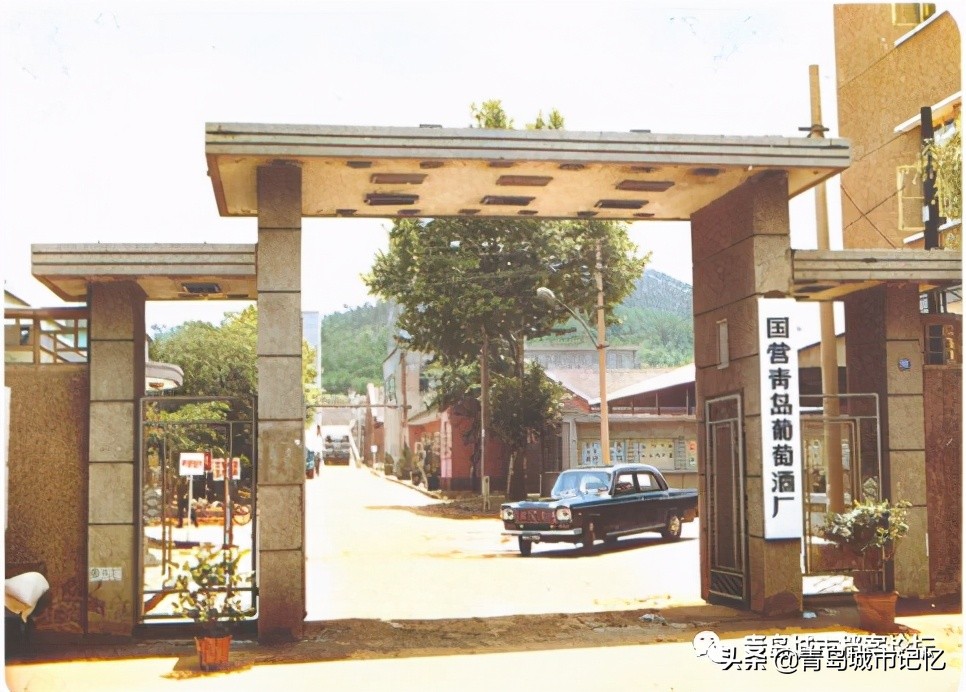 青岛的葡萄酒厂,1984年青岛的葡萄酒公司