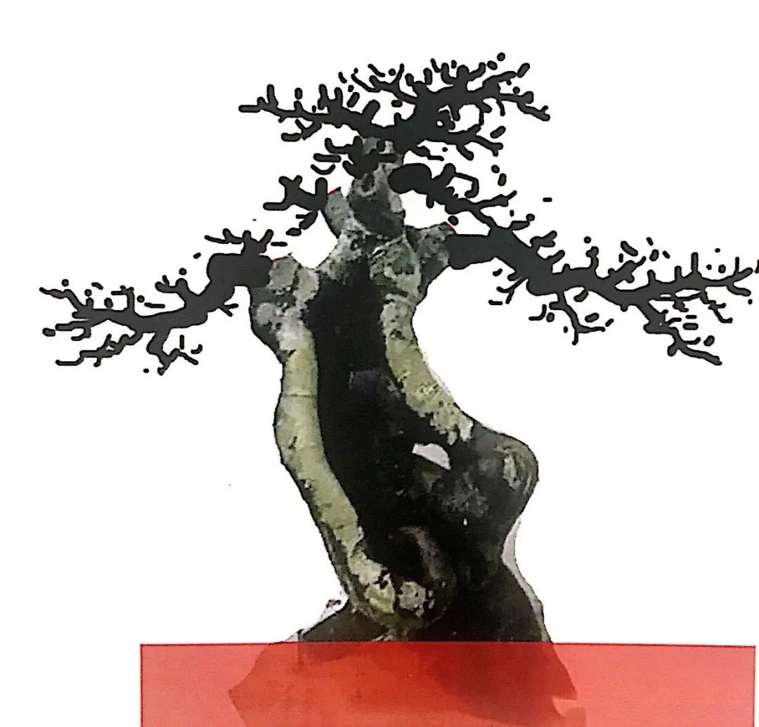 小榆树盆景设计100种形态,榆树盆景用的榆树是什么品种