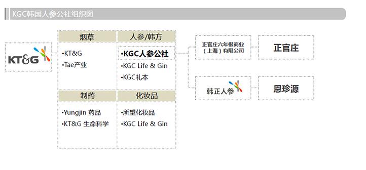 中国人参韩国人包装成高丽参,高丽参和人参的差别是什么