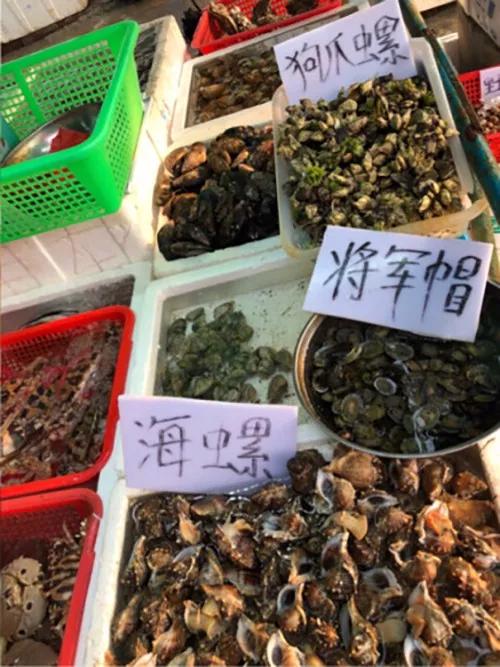 深圳附近小众海岛一日游,不用开车的绝美海岛深圳