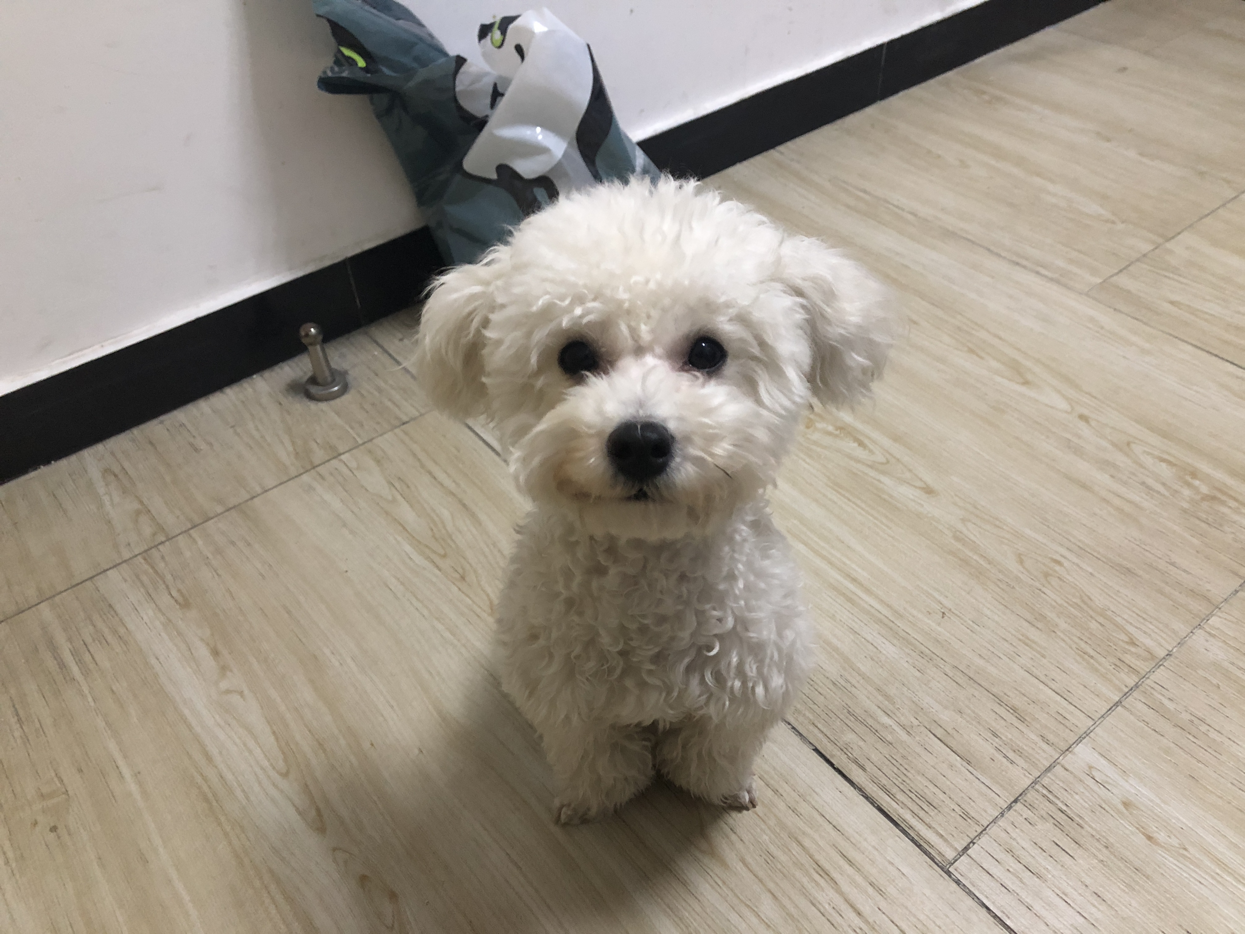 治疗细小经典处方,治疗细小偏方有用么