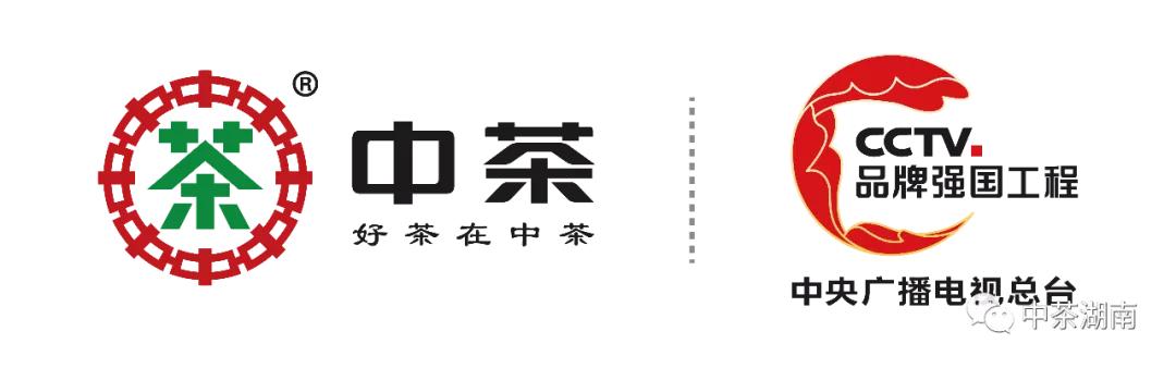 古丈毛尖绿茶,毛尖顶级绿茶