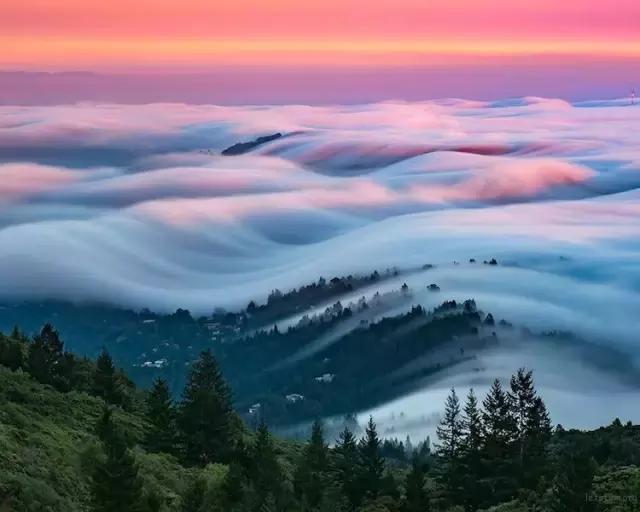 大家今年拍过最好看的照片,近期拍的最好看的照片