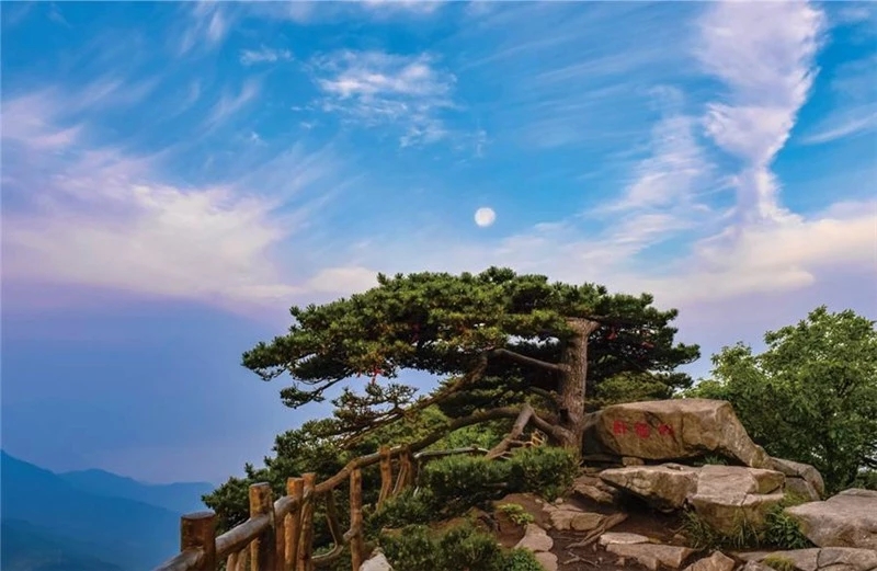 湖北黄冈未来10年规划,黄冈未来5年发展前景