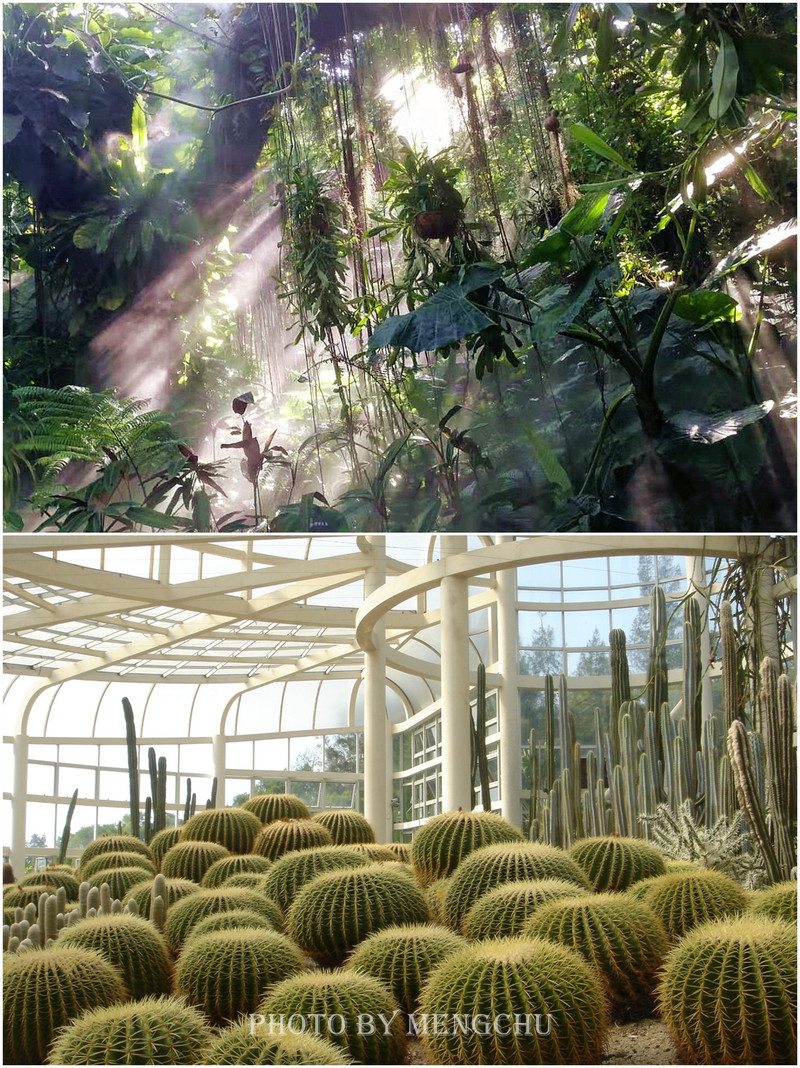 厦门旅游攻略玩转厦门最全攻略,厦门旅游最细攻略