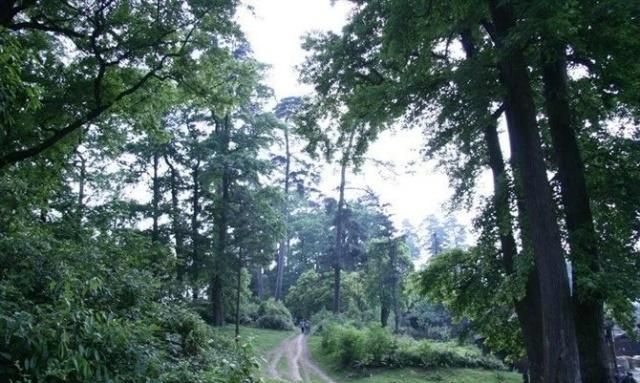 苗族战争史,贵州苗族战争史