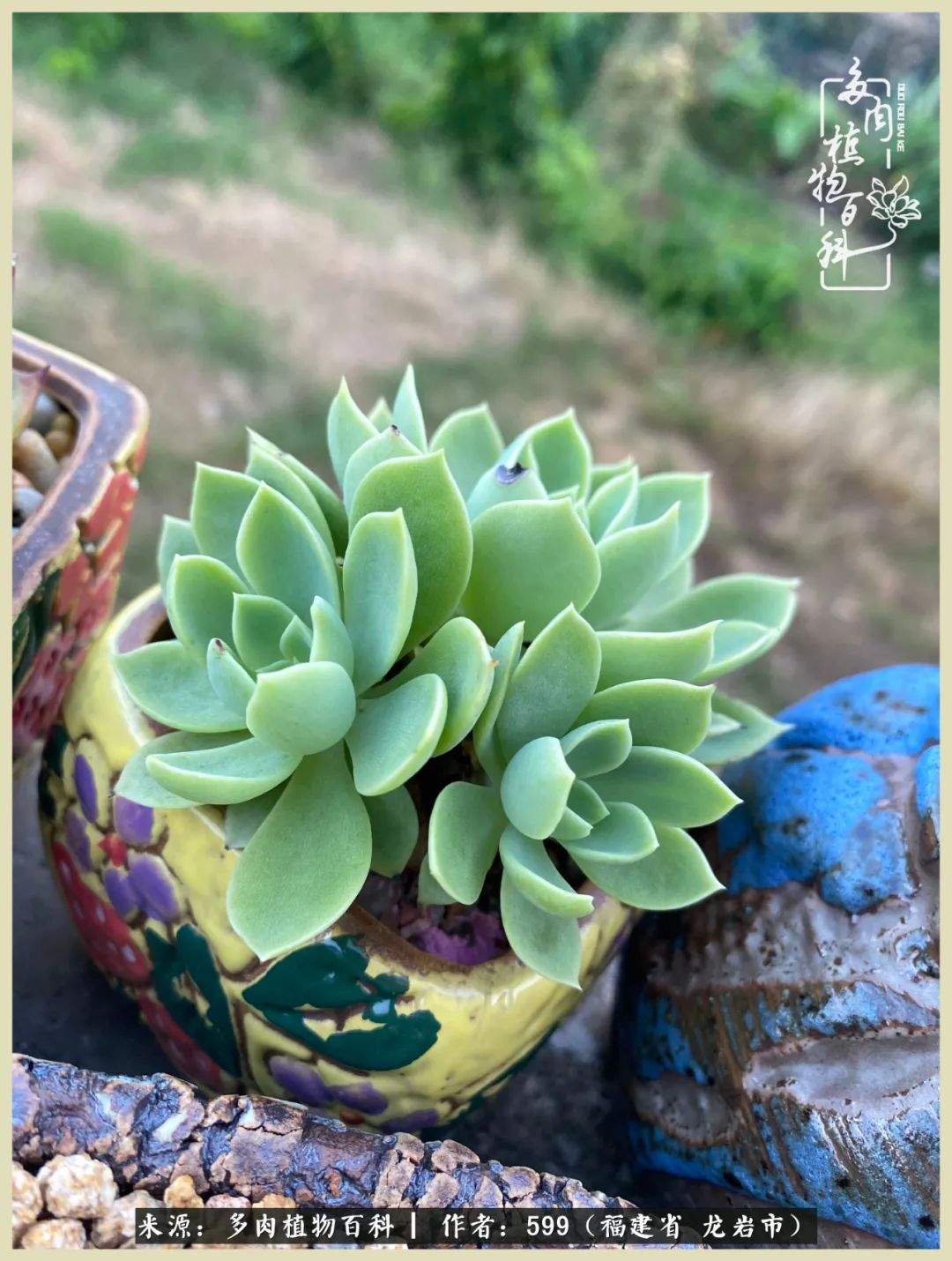 所有的热爱都不遗余力,所有的忙碌都是因为热爱