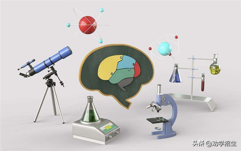 教育机构加盟连锁招募,教育机构招加盟