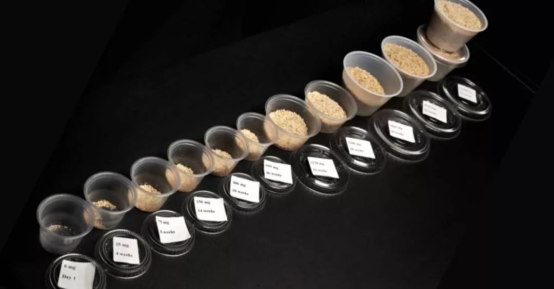 生花生过敏但熟花生不过敏,花生过敏吃了花生皮有事吗