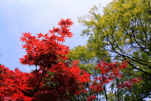 诗词大会第四季董卿唯美开场词,诗词大会第一季董卿唯美开场白