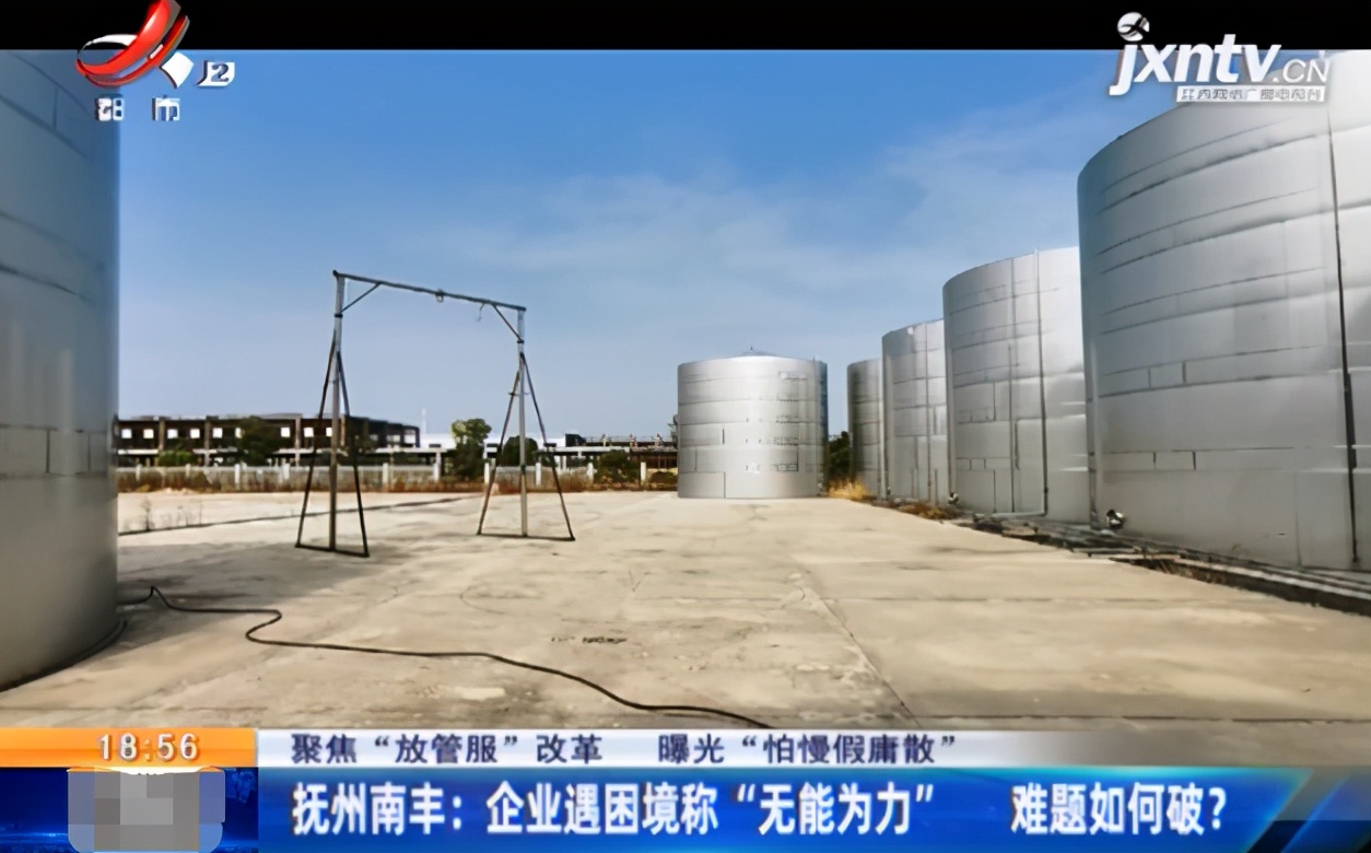 南丰县蜜桔收购,南丰蜜桔大量收购