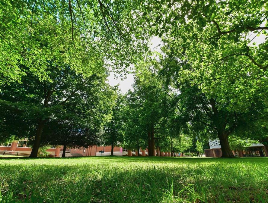 instagram前十名红人,instagramtop10