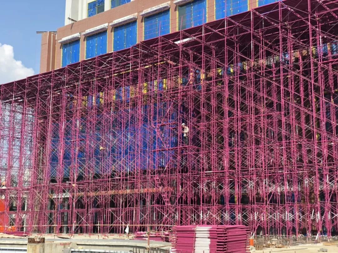 藏在海边的摩洛哥花园！夫妻俩不懂设计，却打造出厦门...