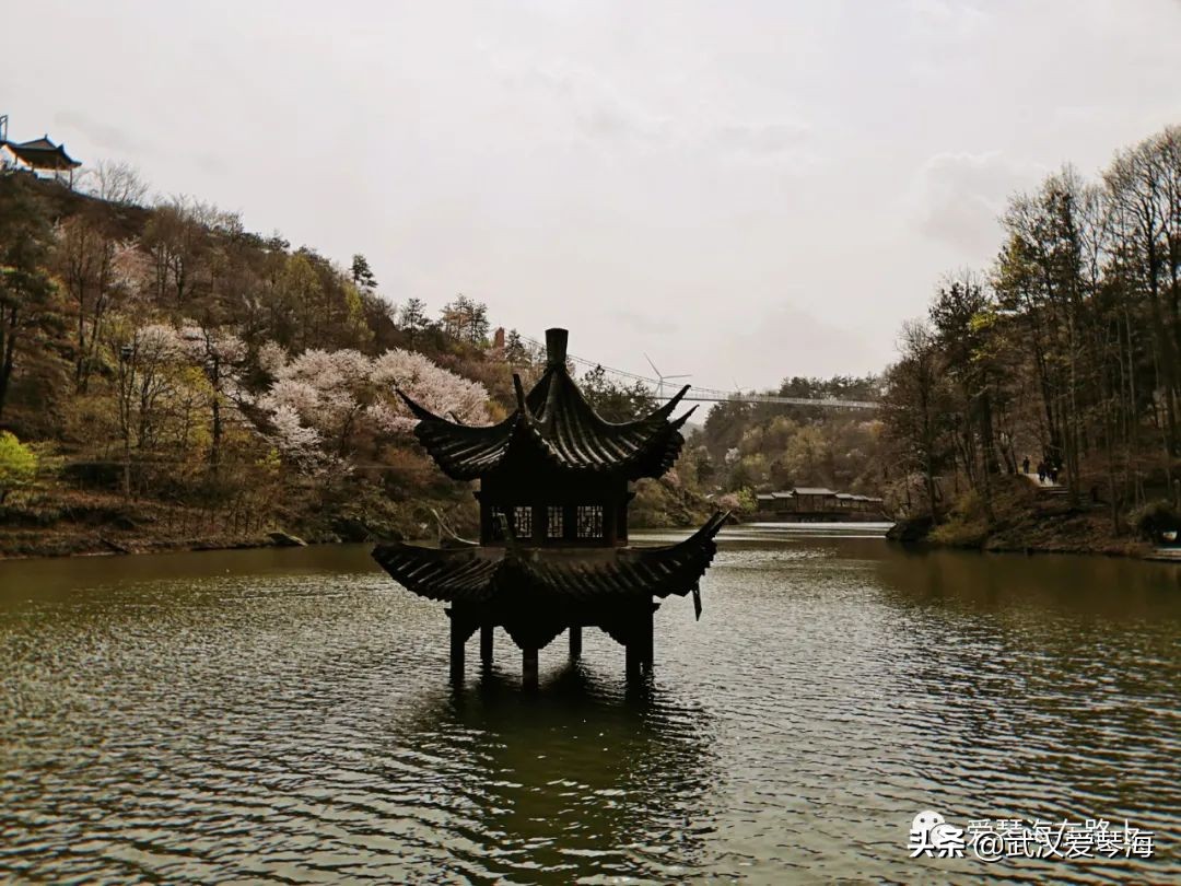 清凉寨樱花烂漫,清凉寨野景