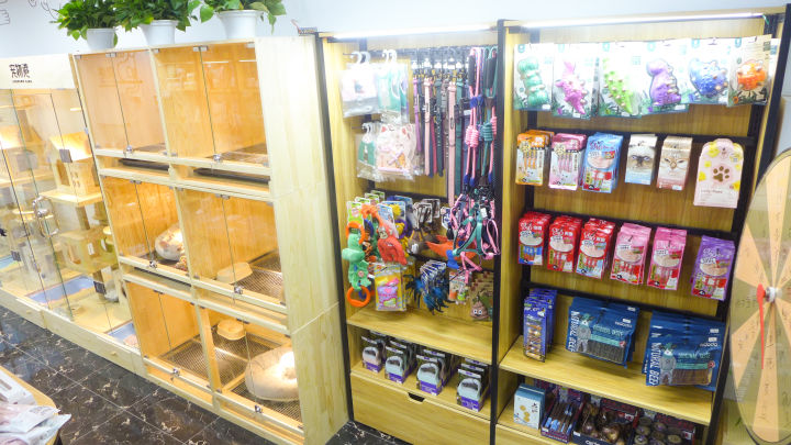 轻奢风格宠物店图片,温馨明亮的宠物店风格