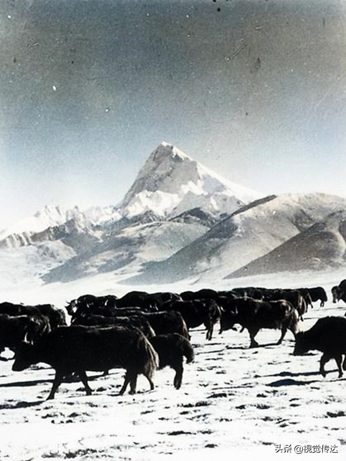 18张令人叹为观止的彩色老照片,令人震撼的65年前西藏高清彩照