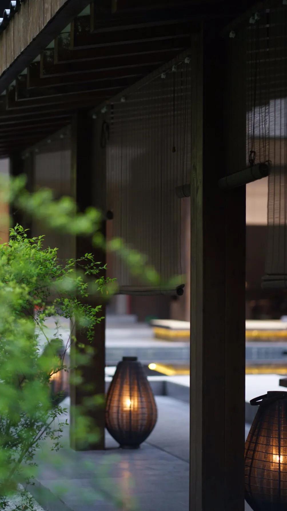 森林秘境的温泉,森林里野奢温泉度假酒店下午茶