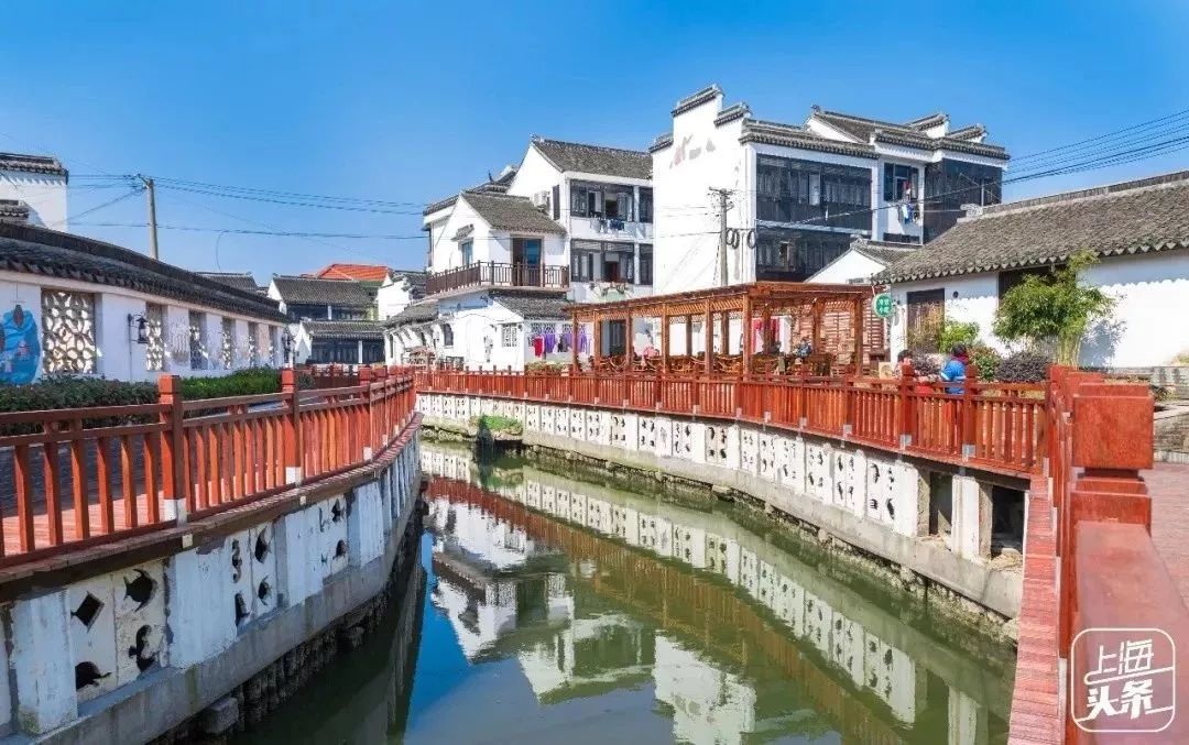 生日当天上海免费景点,上海网红打卡地点景点免费