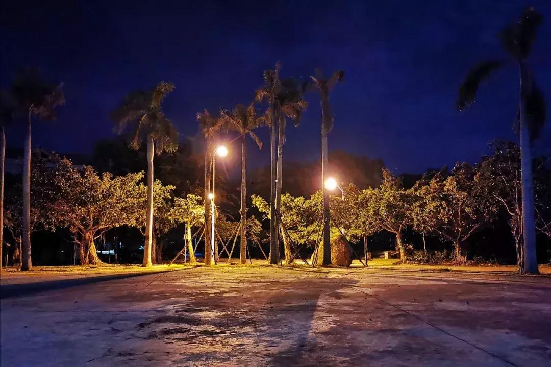 三亚学院21年新生报到,三亚学院新生入学教育