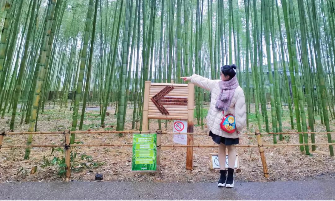 王思聪李易峰综艺节目,王思聪李易峰玩游戏