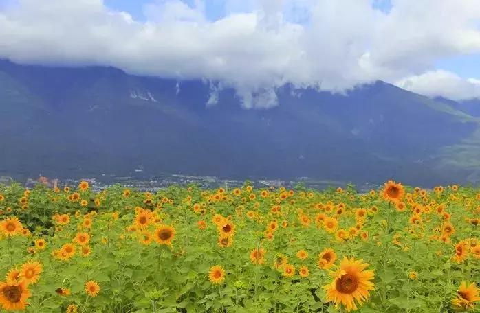 等一个人陪我旅游,等一个人陪我一起跨年