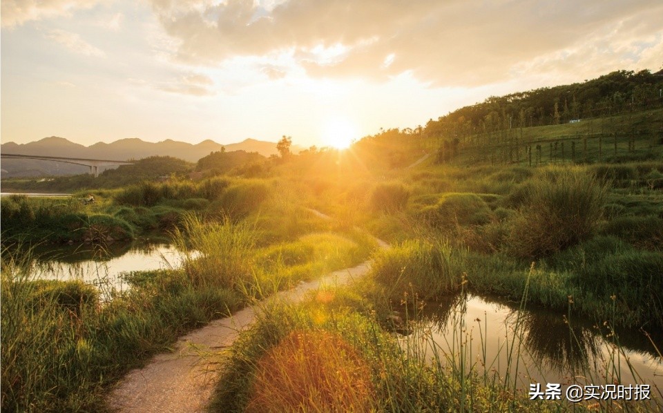 龙湖椿山最新价格,龙湖椿山为什么火了