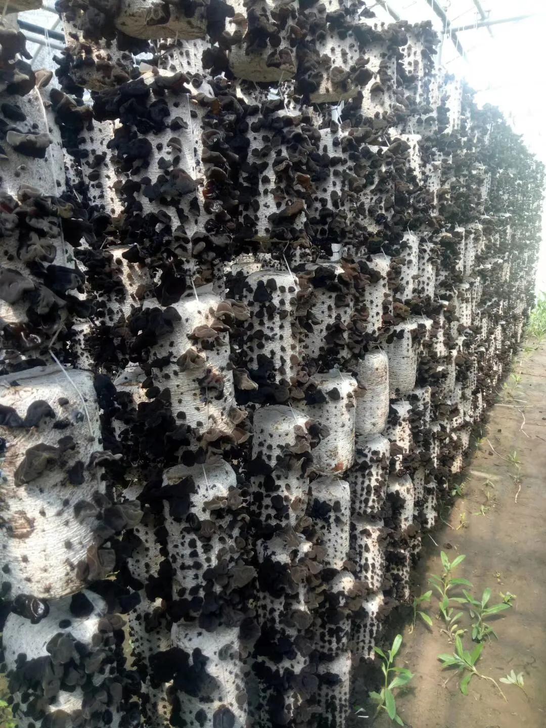 【漳县电商人物访谈第十七期】创业励志青年——王晓斌