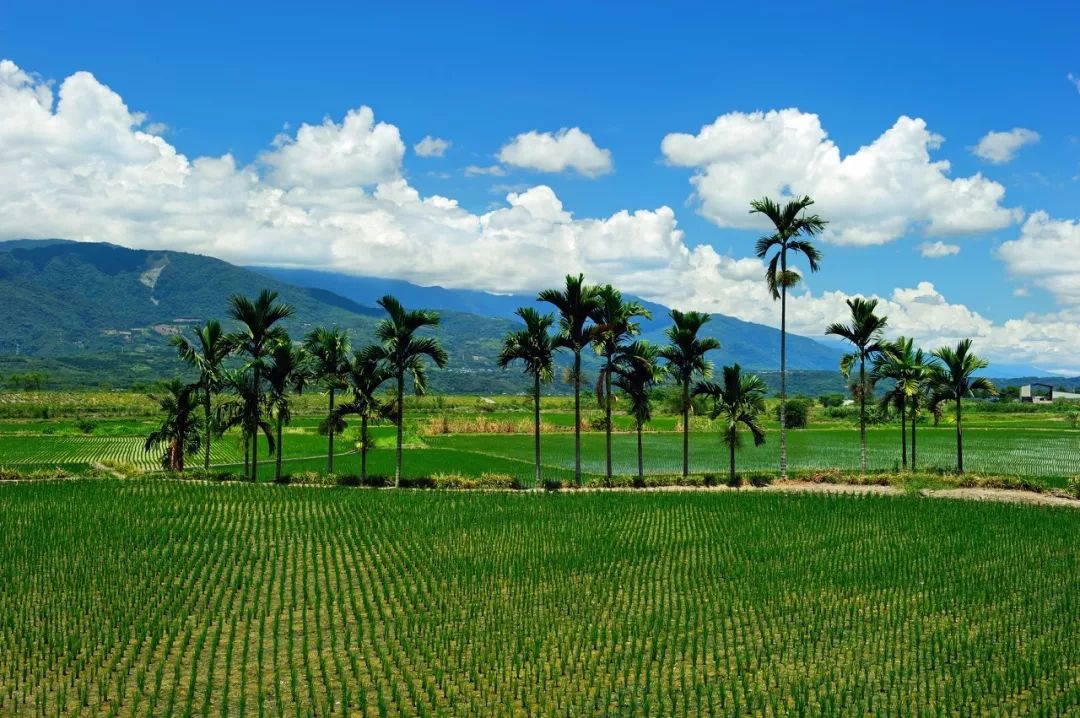 中国有多美,中国有没有北回归线