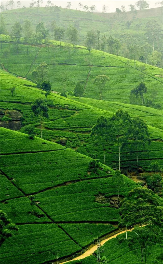 缓解眼睛疲劳动态图壁纸,好看的手机壁纸护眼高清图文