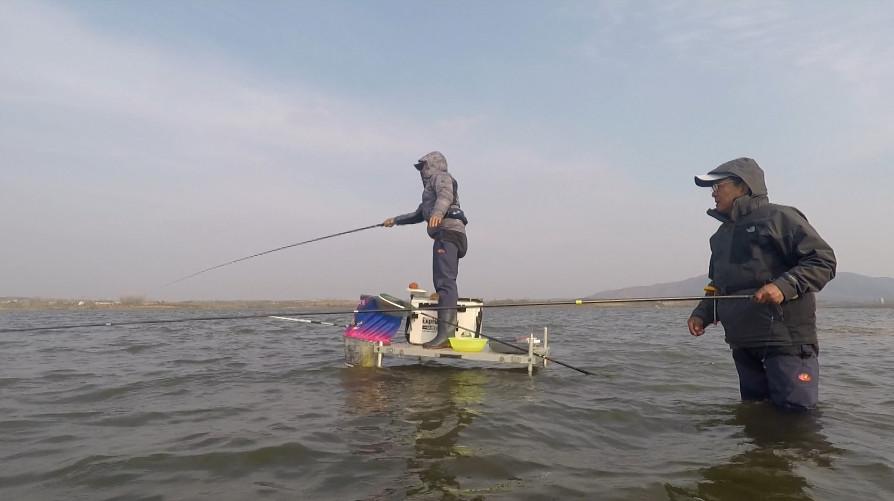 野河鱼不开口的原因及解决方法,鱼不开口有哪些原因