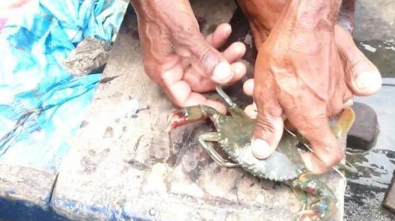 看看印度人是怎么干活,看看印度人如何吃火锅