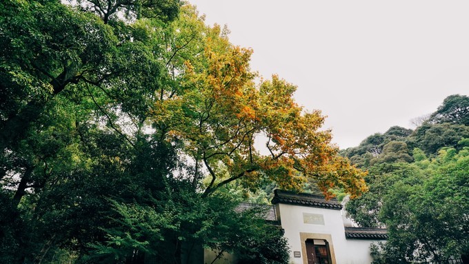 杭州西湖乌镇苏州南京上海攻略,天青色等烟雨乌镇旅游