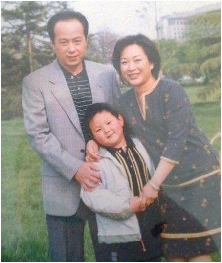 央视主持人罗京有多敬业,国脸央视主持罗京