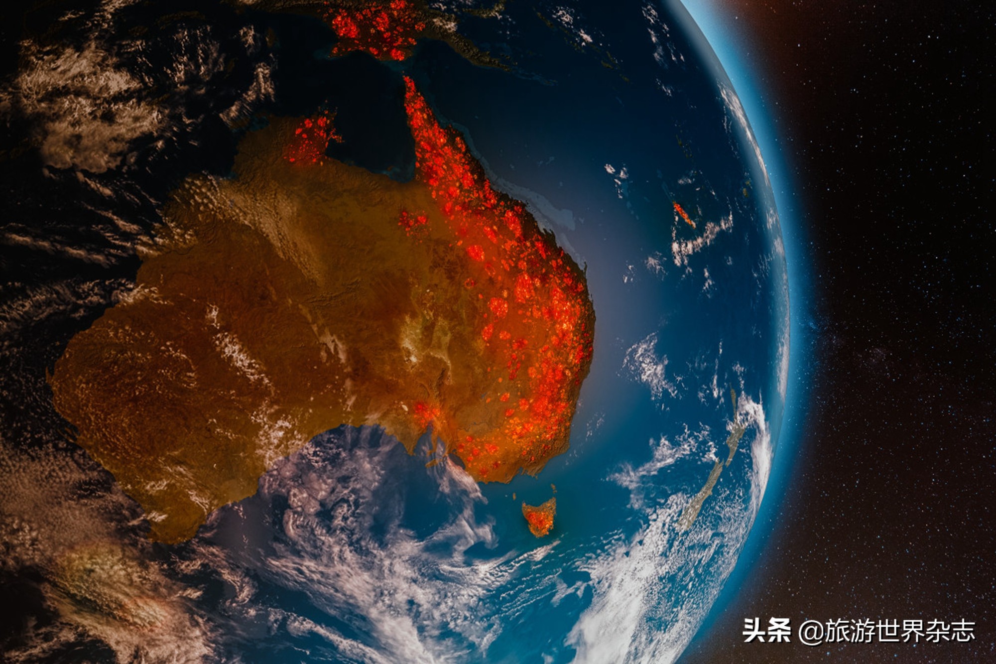 抢救大型野生动物,救助受伤化脓的大野生动物